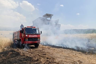 32 Dönümluk Buğday Ekili Alan Yandı