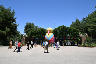 Hayvanat Bahçesi, Turistlerin İlk Durağı…