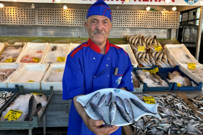 Balıkçılar Yeni Sezondan Umutlu