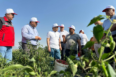 Şahin, İslahiye'de Çiftçilerle Buluştu