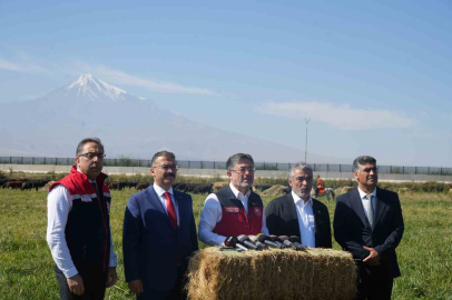 "Tüketiciye Uygun Maliyetle Kırmızı Et İthalatını Bitirmek"